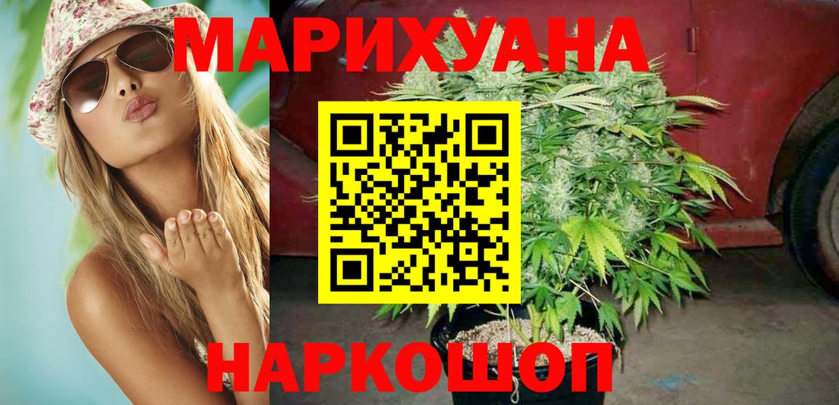 Шишки марихуана план  Вход с VPN  Киров  Конопля Bruce Banner  Марихуана SATIVA & INDICA 